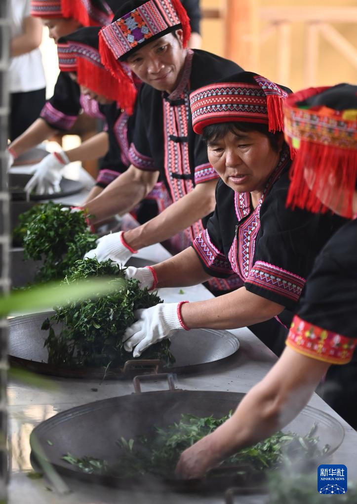 广西梧州举办开茶节