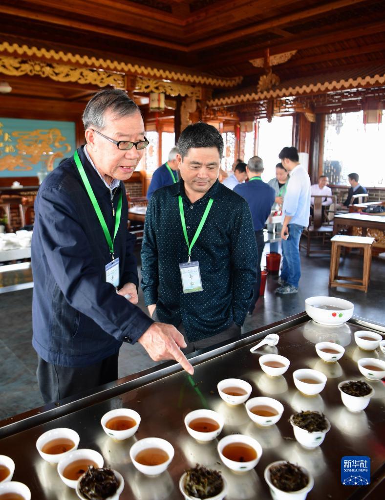 走进武夷山 来看武夷岩茶“岩骨花香”的奥秘