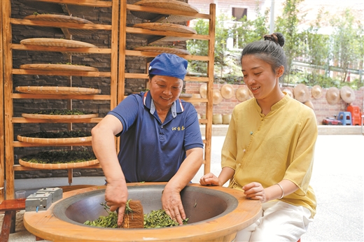 电力赋能 茶乡更香