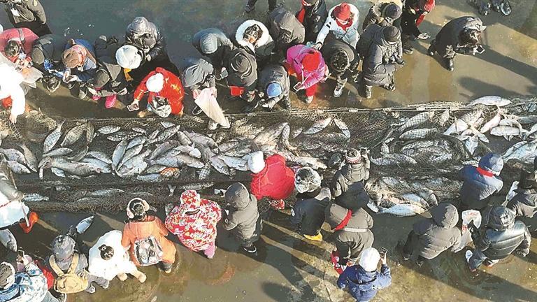 冰湖腾鱼 舌尖盛宴