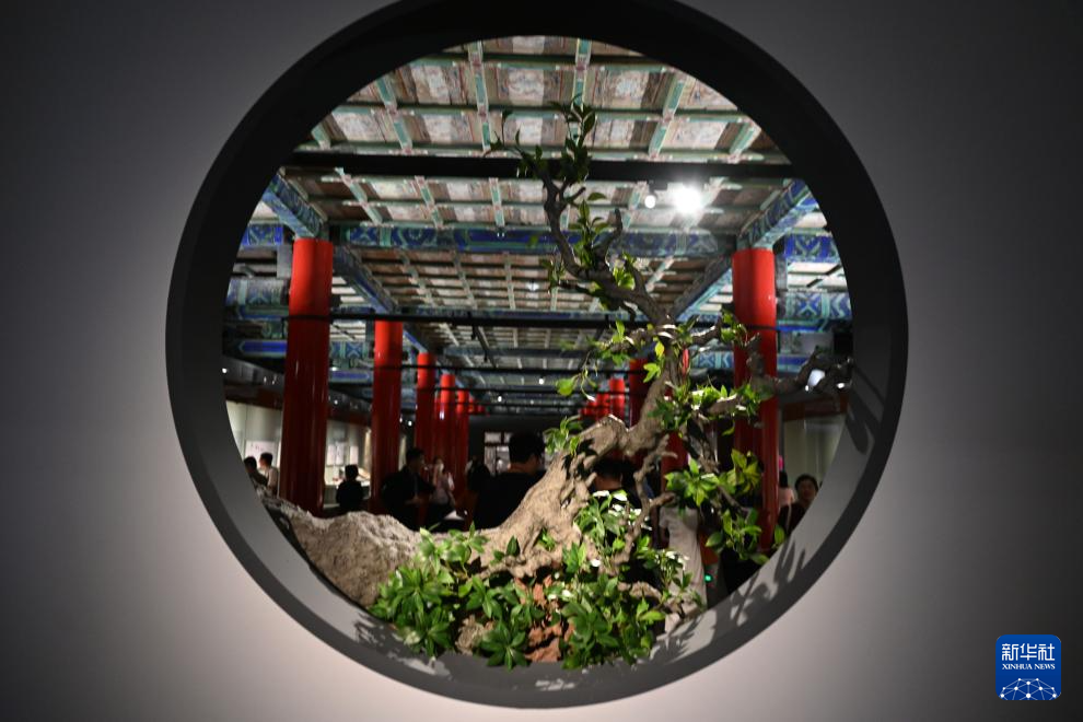 故宫举办“茶·世界——茶文化特展”