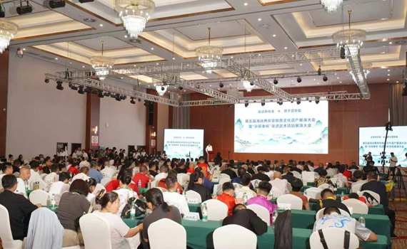 第五届海峡两岸非遗展演大会在山东举办 第五届海峡两岸非遗展演大会在山东举办